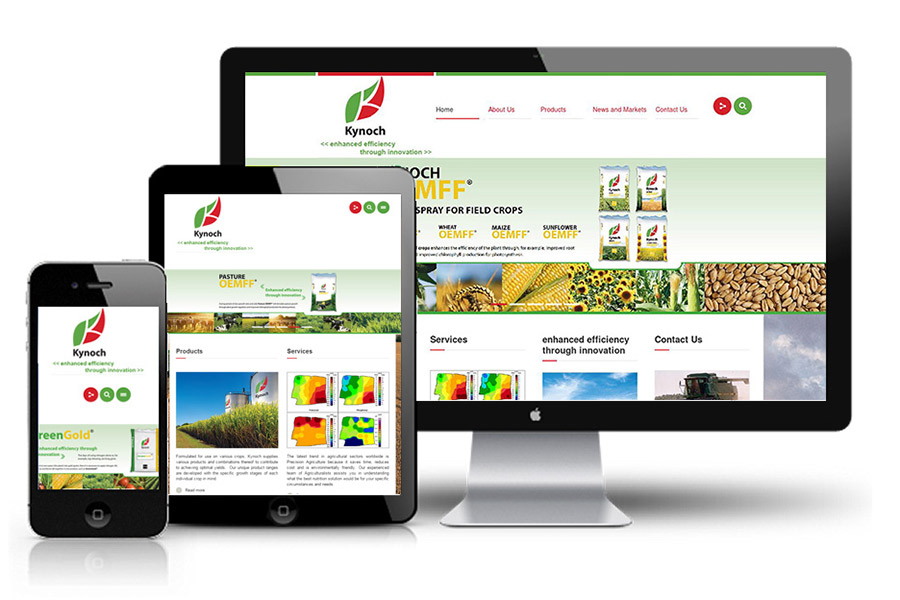 Dịch vụ thiết kế web trọn gói giá rẻ tại quận Bình Tân