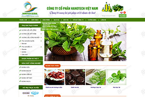 Dịch vụ thiết kế web trọn gói giá rẻ tại quận 11