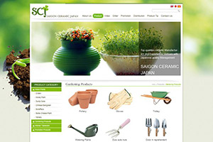 Dịch vụ thiết kế web trọn gói giá rẻ tại quận 12